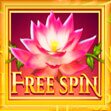 Free Spin