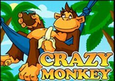 Crazy monkey