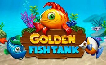 Golden fish tank