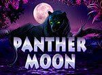 Panther moon